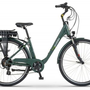 Ecobike Traffic Dark Green
