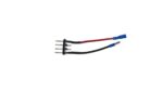 Youin Conector de batería macho (You-Ride Amsterdam)
