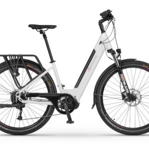 Ecobike LX300