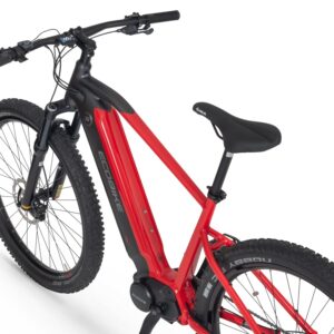 Ecobike RX500