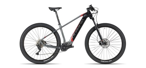 Olympia Cycles Performer 900 [29"]