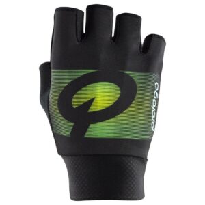 Prologo Faded Cortos