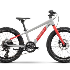 Raymon Yanga 20 Pro