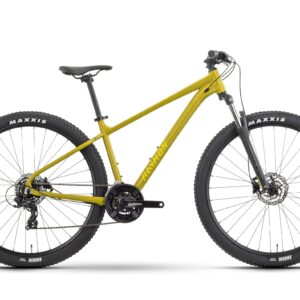 Raymon Nayta 29