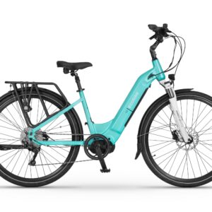 Ecobike D2 City