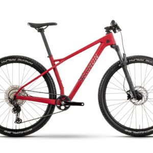 Raymon Arid Pro