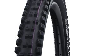 Schwalbe Tacky Chan 29