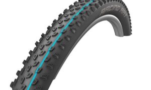 Schwalbe Racing Ray 29