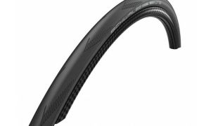 Schwalbe One 20