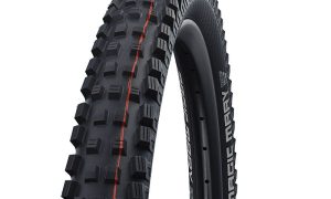 Schwalbe Magic Mary 29