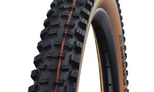 Schwalbe Hans Dampf 29
