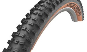 Schwalbe Hans Dampf 27.5