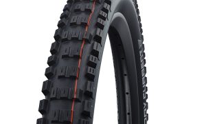 Schwalbe Eddy Current Front 29