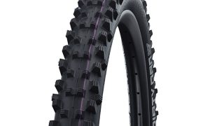 Schwalbe Dirty Dan 29