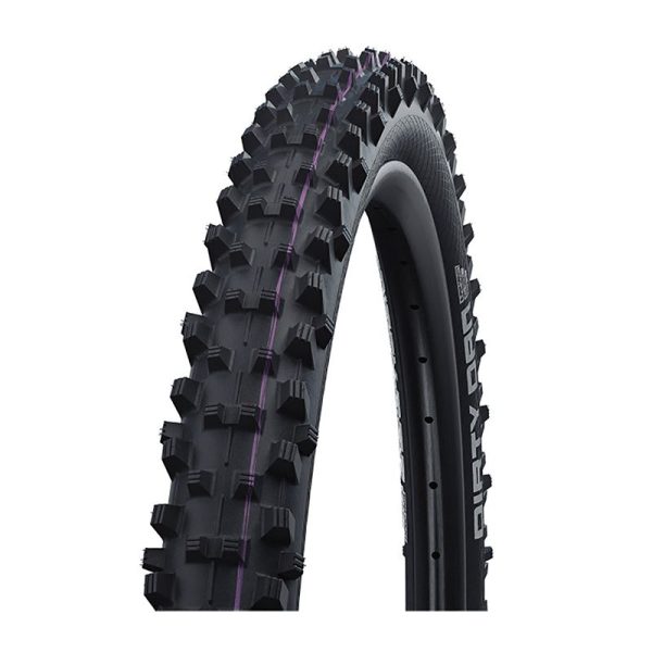 erp_trigger Schwalbe Dirty Dan 27.5