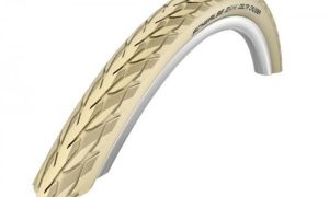 Schwalbe Delta Cruiser Plus 26