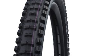 Schwalbe Big Betty 27.5