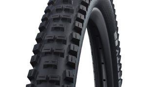 Schwalbe Big Betty 20