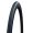 Schwalbe Lugano II