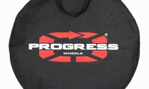 Progress PG-11