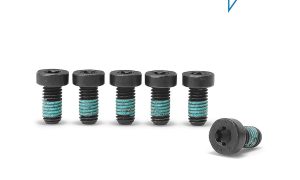 Bosch Juego de tornillos Drive Unit (BDU4XX, BDU37YY)