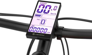 E Motorad Display T-Rex