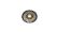 Youin Piñon de rosca Shimano TZ500,7 (You-Ride Texas/You-Ride Everest)