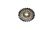 Youin Piñon de rosca Shimano TZ20, 6 (You-Ride New York/You-Ride Amsterdam)
