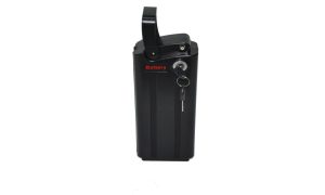 Youin Batería 36V 7.8Ah extraible (You-Ride Amsterdam)