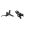 Shimano XT M8100