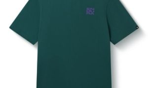 Endura Camiseta Gráfica Stacked Logo