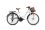 Moma Bikes Urban 26