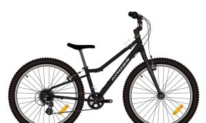 Kross Liftie 24