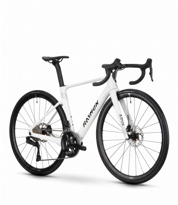 erp_trigger Raymon Arva Comp SE