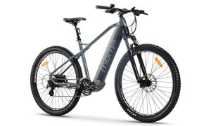 Moma Bikes E-MTB 29”