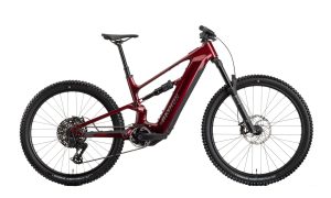Raymon Ravor Pro