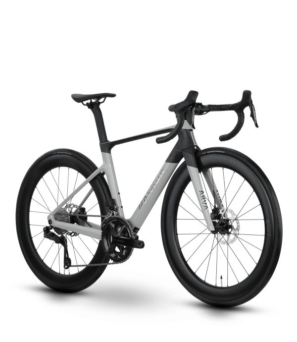 erp_trigger Raymon Arva Pro