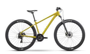 Raymon Nayta 29