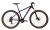Coluer Ascent 293