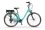 Ecobike Traffic Mint