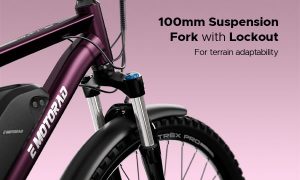 E Motorad T-Rex Pro 29
