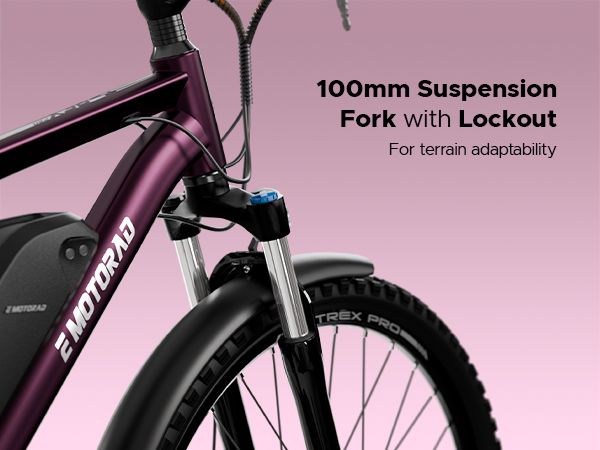 E Motorad T-Rex Pro 29