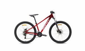 Monty Bikes KX9