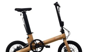 Vicci V5+