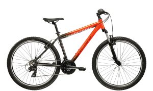 Kross Hexagon X100