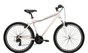 Kross Lea X100