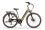 Ecobike X-City