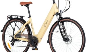 Youin You-Ride Viena