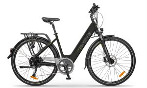 Ecobike X-Cross L
