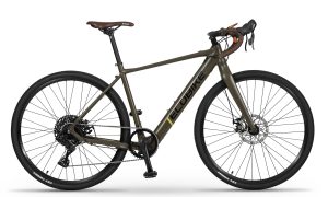 Ecobike Forest Arrow